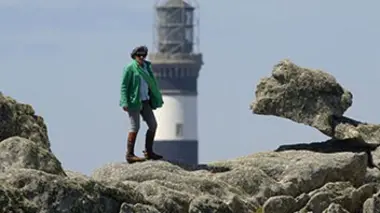Lapins - Ouessant