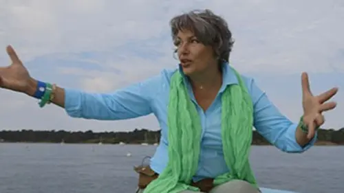 Curieuse de nature Echassiers, golfe du Morbihan