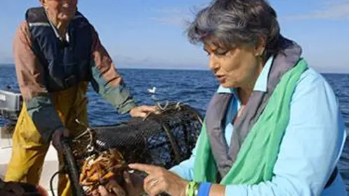 Curieuse de nature Mygales, Groix