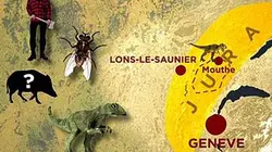 Sur Ushuaïa TV à 20h40 : Curieuse de nature