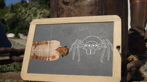 Curieuse de nature S03E00 Mygale à chaussette sur Groix