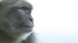 Curieuse de nature au Maghreb