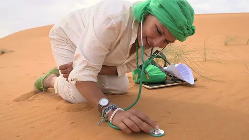 Curieuse de nature au Maghreb Le fennec (Maroc)
