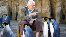 Curiosités animales