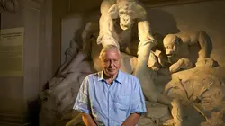 Curiosités animales