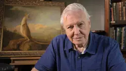 Curiosités animales