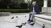 Curiosités animales S04E03 Trouver son chemin : pigeons et bousiers