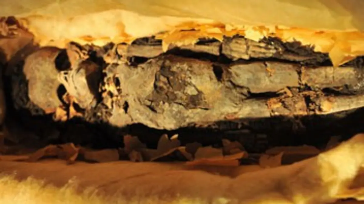 Curiosity S02E00 Néfertiti, la reine disparue