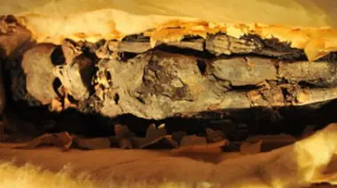 Néfertiti, la reine disparue