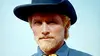 le sergent Mulligan dans Custer, l'homme de l'Ouest (1967)