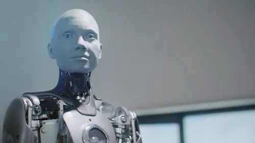 Cyborg Society