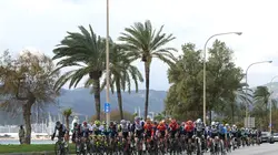 Cyclisme Challenge de Majorque