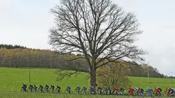 Visuel de Course Elite messieurs