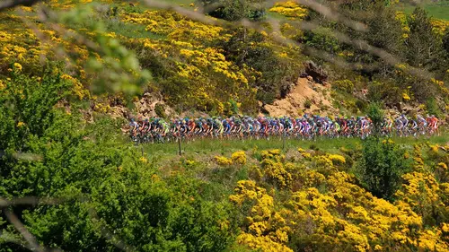 Critérium du Dauphiné Cyclisme UCI World Tour 2022