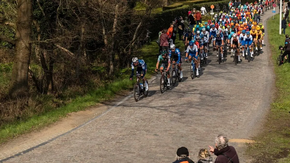 Cyclisme Grand Prix de l'Escaut 2024