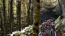 Cyclisme Tour d'Italie