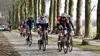 Cyclisme : Tour de Drenthe féminin