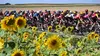 Cyclisme Tour de Pologne Femmes