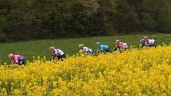 Cyclisme Tour de Romandie