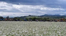 Cyclisme Tour de Slovénie