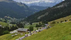 Cyclisme Tour des Alpes
