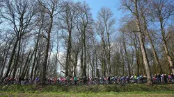 Cyclisme Tour des Flandres