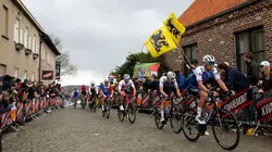 Cyclisme Tour des Flandres
