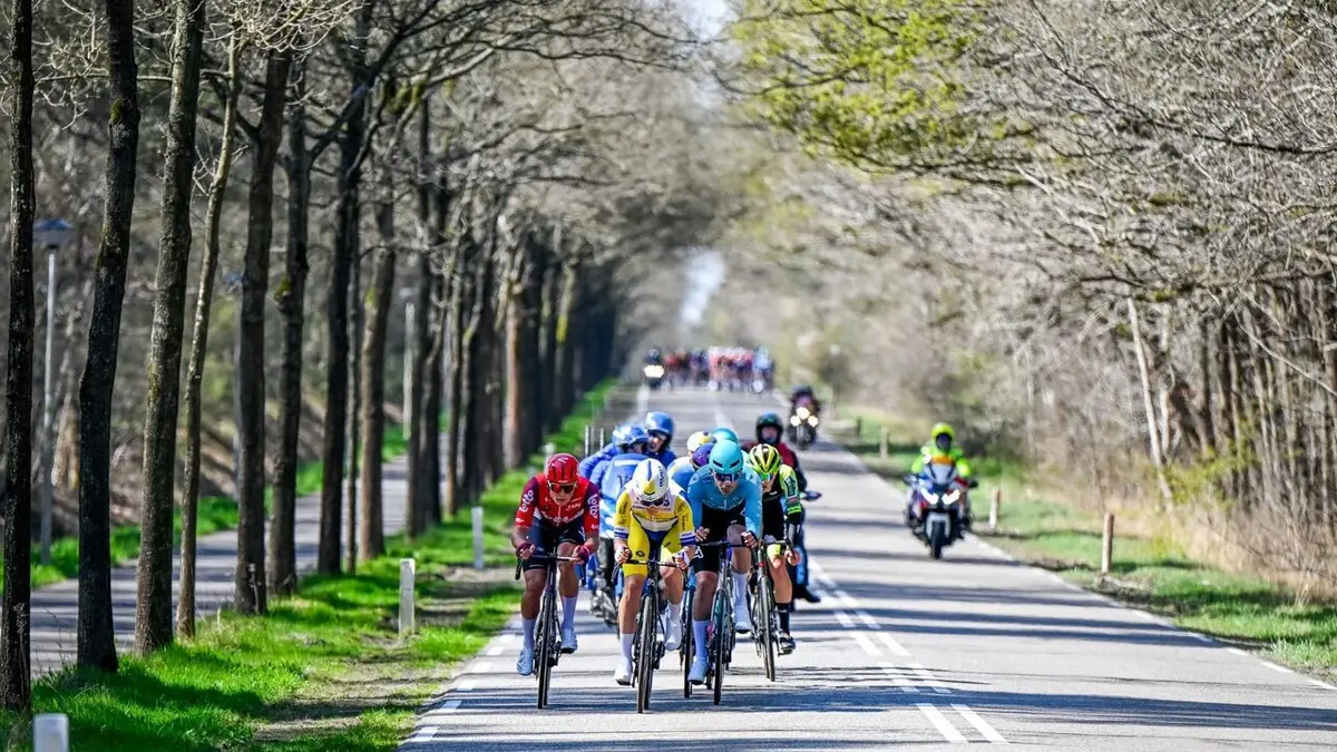 Cyclisme Tour du Limbourg 2026