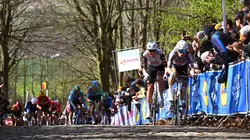 Visuel de In Flanders Fields