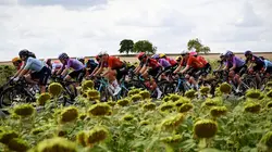 Visuel de Tour de France Femmes