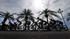 Cyclisme UCI World Tour Féminin
