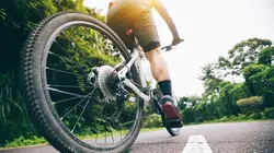 Cyclo-cross Coupe du monde à Maasmechelen