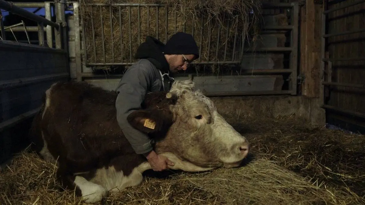Cyrille, agriculteur, 30 ans, 20 vaches, du lait, du beurre, des dettes