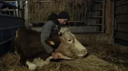 Visuel de Cyrille, agriculteur, 30 ans, 20 vaches, du lait, du beurre, des dettes