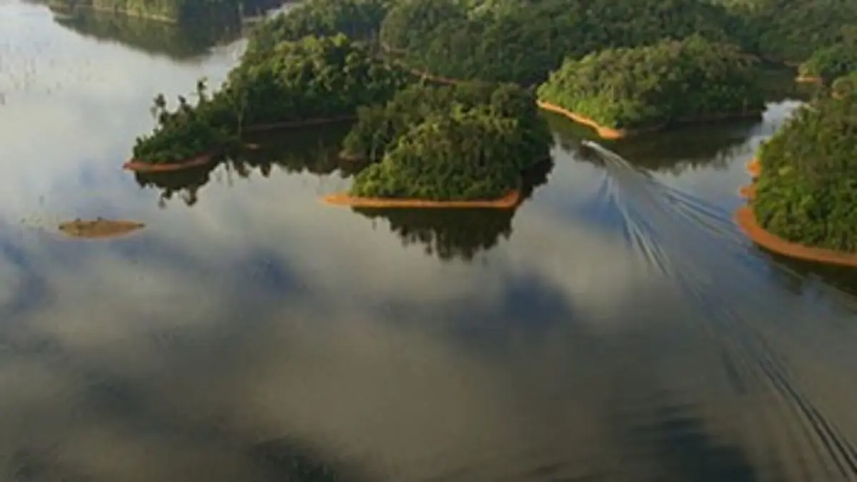 D'outremers E04 En Guyane