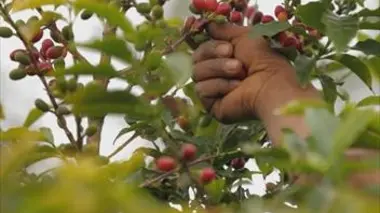 A La Réunion