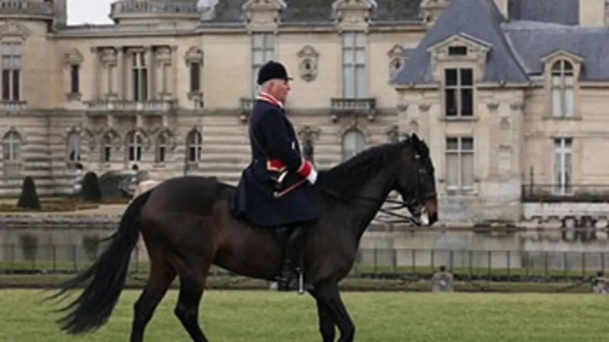 D'une vie à l'autre