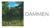 Dammen