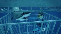 Danger de mort Attaque de requin