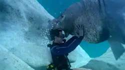 Danger de mort Catastrophe en mer