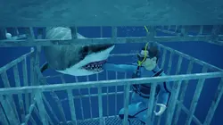 Danger de mort Attaque de requin