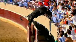 Danger de mort Taureau enragé