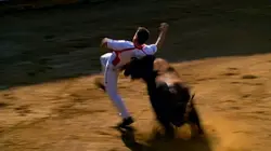 Danger de mort Taureau enragé