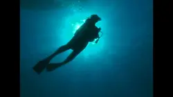 Danger de mort Attaque de requin