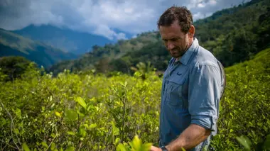 Dans l'univers des narcos Pérou