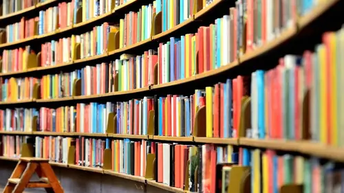 Dans la bibliothèque de