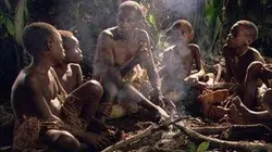 Visuel de Dans la jungle avec les pygmées