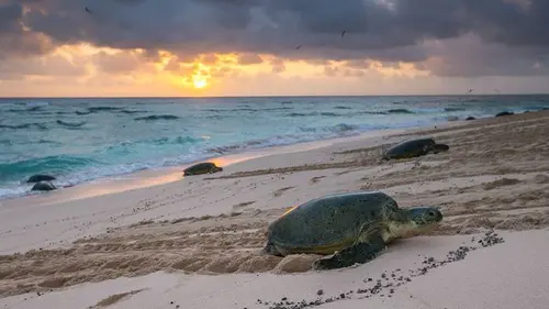 Dans la mer de corail S01E03 Tempête sur le récif