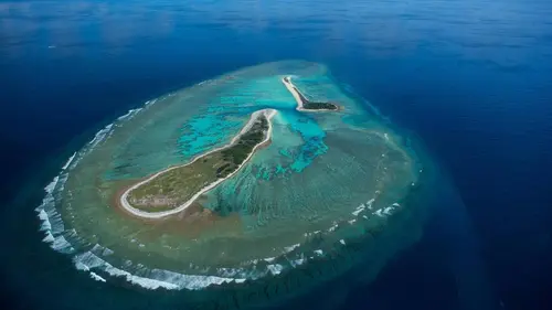 Dans la mer de corail