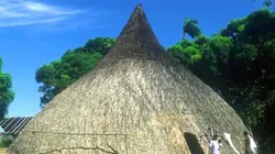 Visuel de Dans la nature avec Stéphane Peyron